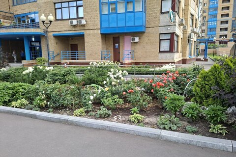 Ботанический сад в Строгино