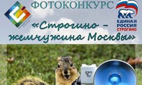 Стартовал фотоконкурс «Строгино – жемчужина Москвы»