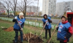 Акция в Строгино  "Москве миллион деревьев"